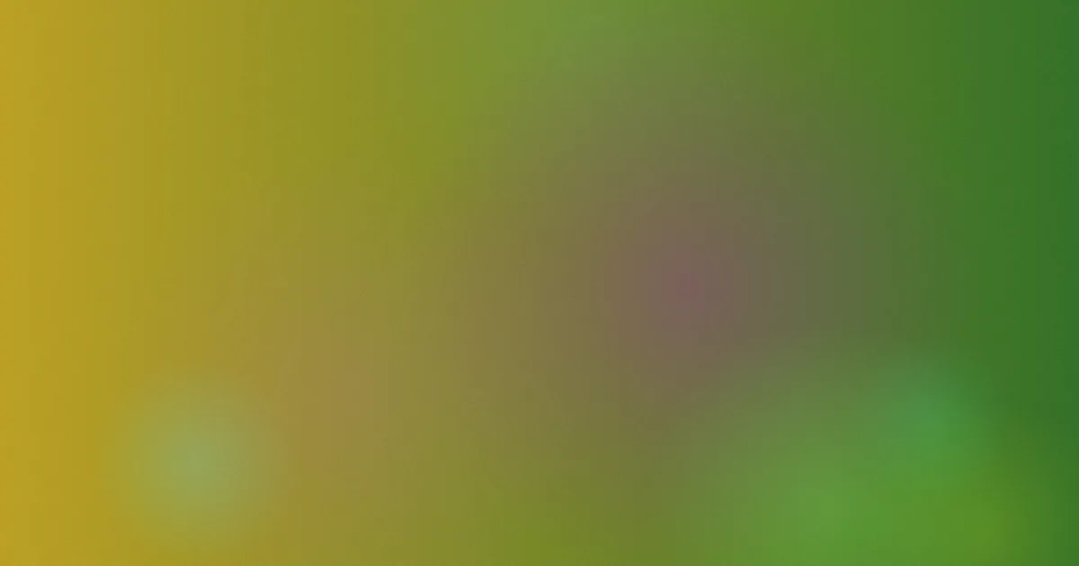 4k岛国对比：从画质到风险的实测复盘